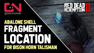 Red Dead Redemption 2  Where to find Abalone Shell Fragment for Bison Horn Talisman [upl. by Weihs]