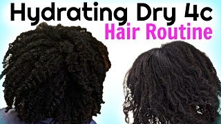 How To MOISTURIZE DRY Natural HAIR To Maximum Hydration [upl. by Ponce]