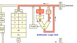 Architecture of a microprocessor Basic [upl. by Arinaid]