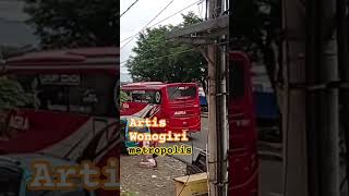 Artis Wonogiri Si Metropolis [upl. by Edak]