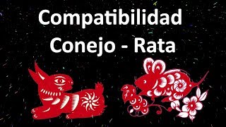 Compatibilidad Conejo  Rata Horóscopo Chino [upl. by Terrijo]