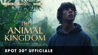 THE ANIMAL KINGDOM  Spot 30quot ufficiale HD [upl. by Aisa]