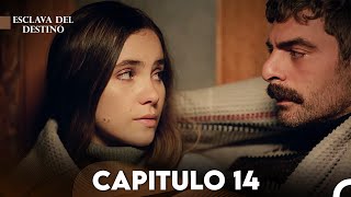 fugitivas avance del capitulo 14 y 15 gabriela no quiere volver aver a lorena [upl. by Adnalram]