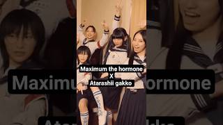 atarashi gakko x maximum the hormone maximumthehormone atarashiigakko shorts マキシマムザホルモン jmetal [upl. by Loggia384]