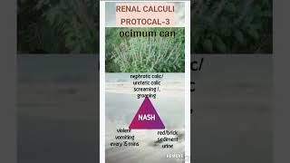 Clinical tip22renal calculi ocimum cantrending homeopathy [upl. by Mackenzie]