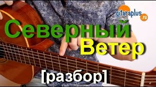 Северный Ветер Разбор простая и очень популярная мелодия  Александр Фефелов [upl. by Nilcaj838]