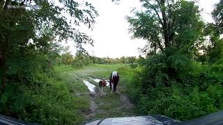 Road Block in Breathitt County Ky [upl. by Udall]