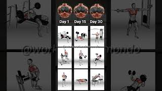 30DAY EPIC CHEST WORKOUT Transform Your Chest Fast [upl. by Garretson]