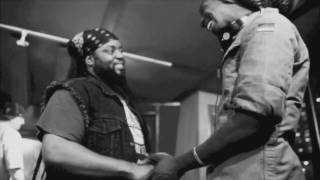 Meta and The Cornerstones ft Peetah Morgan of Morgan Heritage Somewhere In Africa Remix [upl. by Niasuh]