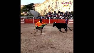 Los toreros cómicos mas graciosos  Maisondo  Ayacucho  Sin maltrato al torito [upl. by Synn]