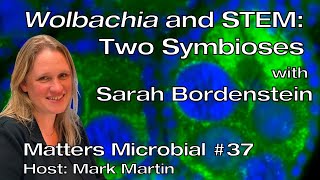 Matters Microbial 37 Wolbachia and STEM Two symbioses [upl. by Rehotsirhc]