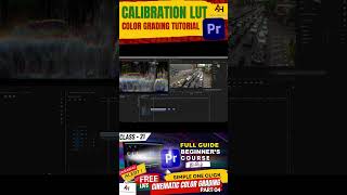 Master Calibration LUTs in Premiere Pro in 60 Seconds 🎨✨ [upl. by Nilre]