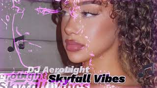 DJ AeroLight  Skyfall Vibes Exclusive 2024 [upl. by Adamok]