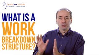 What is a Work Breakdown Structure  WBS PM in Under 5 [upl. by Furgeson517]