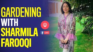 Gardening with Sharmila Farooqi  The Current [upl. by Vanni]