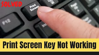 How to Fix Print Screen Not Working in Windows 10  Unable To Take Screenshot  Learning Hub [upl. by Acila311]