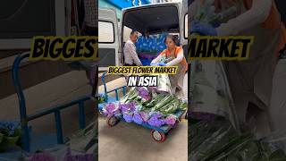 Biggest Flower Market in Asia flowermarket visit youtubeshorts viralshort [upl. by Tacklind]