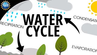 Water Cycle  How the Hydrologic Cycle Works [upl. by Stichter]