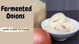 FERMENT WITH ME  FERMENTED ONIONS DETAILED [upl. by Yerac]