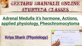 Adrenal medulla it’s hormone Actions applied physiology pheochromocytoma BAMS Kriya Sharir Geetaru [upl. by Assiled]