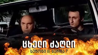 ცხელი ძაღლი  სეზონი 3 სერია 7 [upl. by Ocirne637]