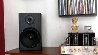 altavoces Mcgrey bss 265 nobsound ms10 dmkll Yamaha cd s300 [upl. by Adela]