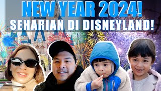 TAHUN BARUAN DI DISNEYLAND JEPANG❗ HAPPY NEW YEAR 2024❗❗ [upl. by Wexler]