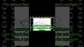 In classical mechanics what is Hamiltons principle [upl. by Nelrah]