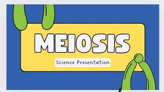 simple and easiest way of meiosisstages crossing over diffbw meiosis1 and 2The Vibes [upl. by Ulick]