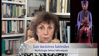 S2E4  les incisives latérales et la mythologie [upl. by Zindman]