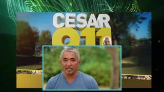 Cesar 911 Season 1 Episode 5 [upl. by Eldin303]