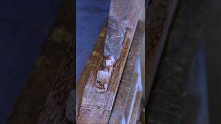 Quick Guide to Perfect Woodcuts Every Time woodcurving wood diywoodworking [upl. by Opal867]