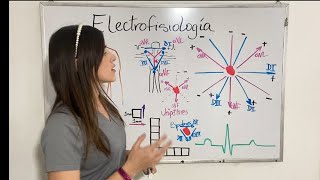 EKG básicoderivaciones  sistema hexaxial de Bailey triangulo de Einthoven Wilson eje eléctrico [upl. by Sacttler381]