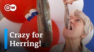 Why the Dutch LOVE herring  The Netherlands’ Best Street Food [upl. by Rocca]