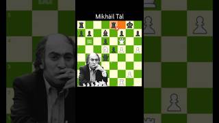 MIKHAIL TAL MAGIC ✨  Mikhail Tal vs Cathy Forbis    1988   💎 brilliant endgame [upl. by Einnad]