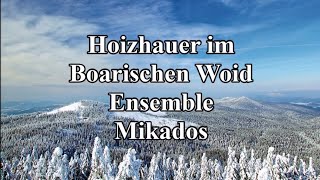 Hoizhauer im Boarischen Woid  Ensemble Mikados [upl. by Iuq]