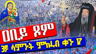 ❗️❗️ቀጥታ ስርጭት❗️❗️ዐቢይ ጾም  3ኛ ሳምንት ምኩራብ ቀን 17  ጾመ ኢየሱስ  ቅዳሴ  Abiy Tsom Kidase [upl. by Adiaroz]