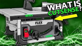 Flex Table Saw Review  8 14Inch amp 10Inch Saws TESTED [upl. by Einram]