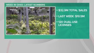 Ohio recreational marijuana sales bring in 105 million in third week [upl. by Eittap]