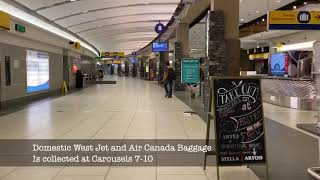 Domestic Baggage Collection to Banff Airporter [upl. by Rachele]