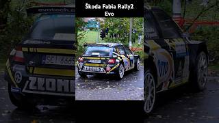 Rally Racing Mistake [upl. by Anastase]