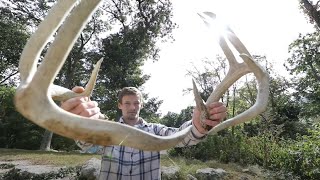 WE FOUND A HUGE SET OF ANTLERS while scouting for deer in Rhode Island  Hunting opening week 2020 [upl. by Beauchamp]