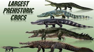 10 Biggest Prehistoric Crocodiles Ever Discovered 2021 [upl. by Ellinehc]