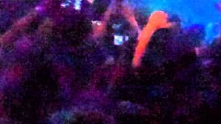 Afrojack  Pacha NYC 526 2011  Pon de Floor Remix LIVE [upl. by Ycniuqal]