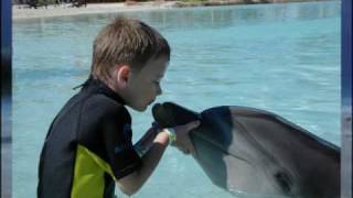 John Paul Olivier KISS FROM A DOLPHIN STOP ANIMAL amp HUMAN ABUSE NOW [upl. by Adnot]