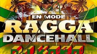 ★ Dj Koko Ragga Mix 3 ★ [upl. by Preciosa]