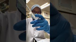 Bacterial DNA extraction using QIAGEN kit [upl. by Funda260]