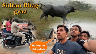 Sultan Bhag Gya  Police Ne Bhi pakadlia  BullRiderVlogs [upl. by Aeriell]