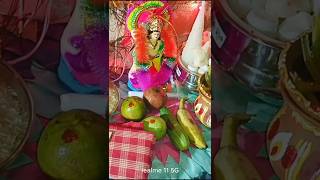 কার্তিক পুজো 🙏shorts viralvideos trending [upl. by Einaffyt824]