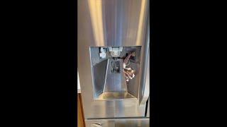 LG Refrigerator DrinkIce Dispenser Repair [upl. by Alber]